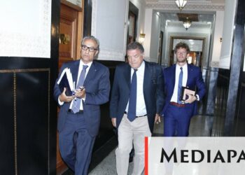 Moroccogate included establishing Fight Impunity NGO, pay Panzeri