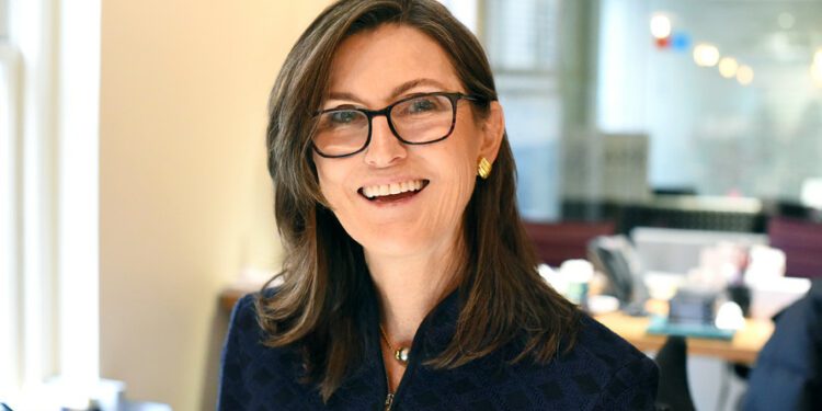 A US hedge fund cleans up its betting on the ARK fund of Cathie Wood The US Journal ARK fund